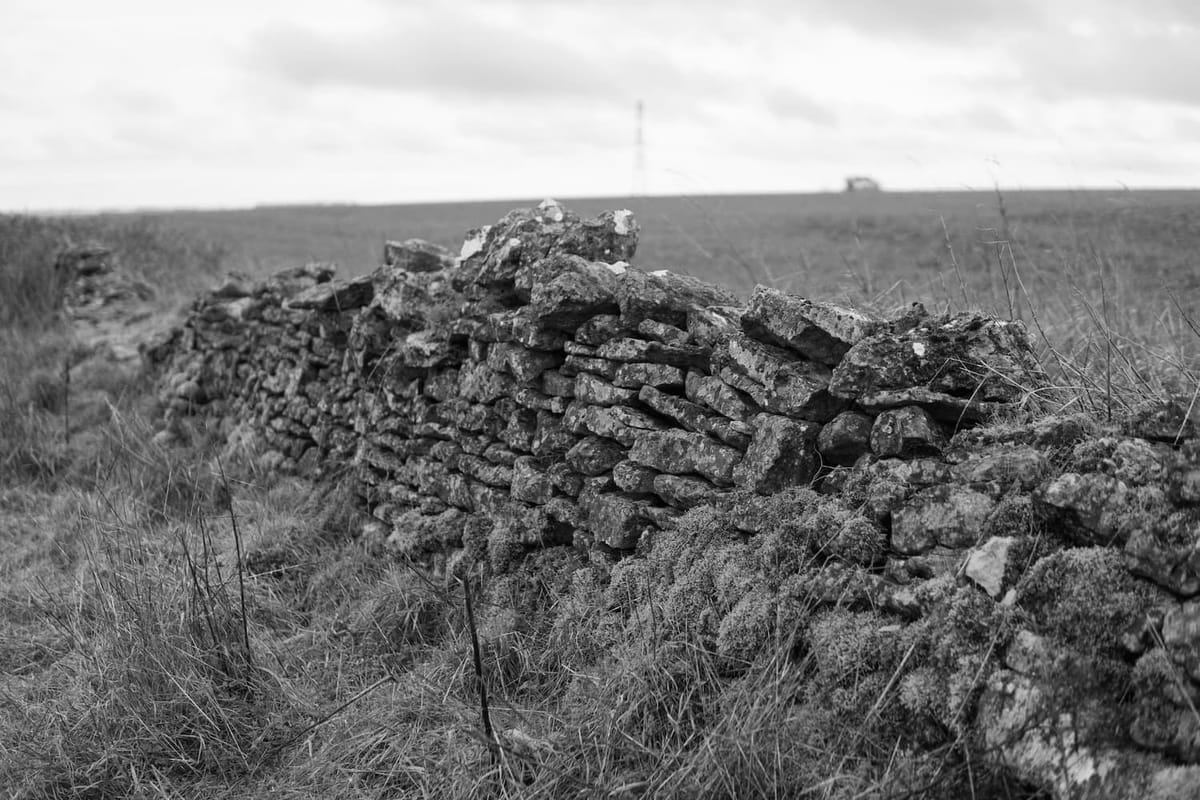 A black and white photo showing a stone wall with a field behind it